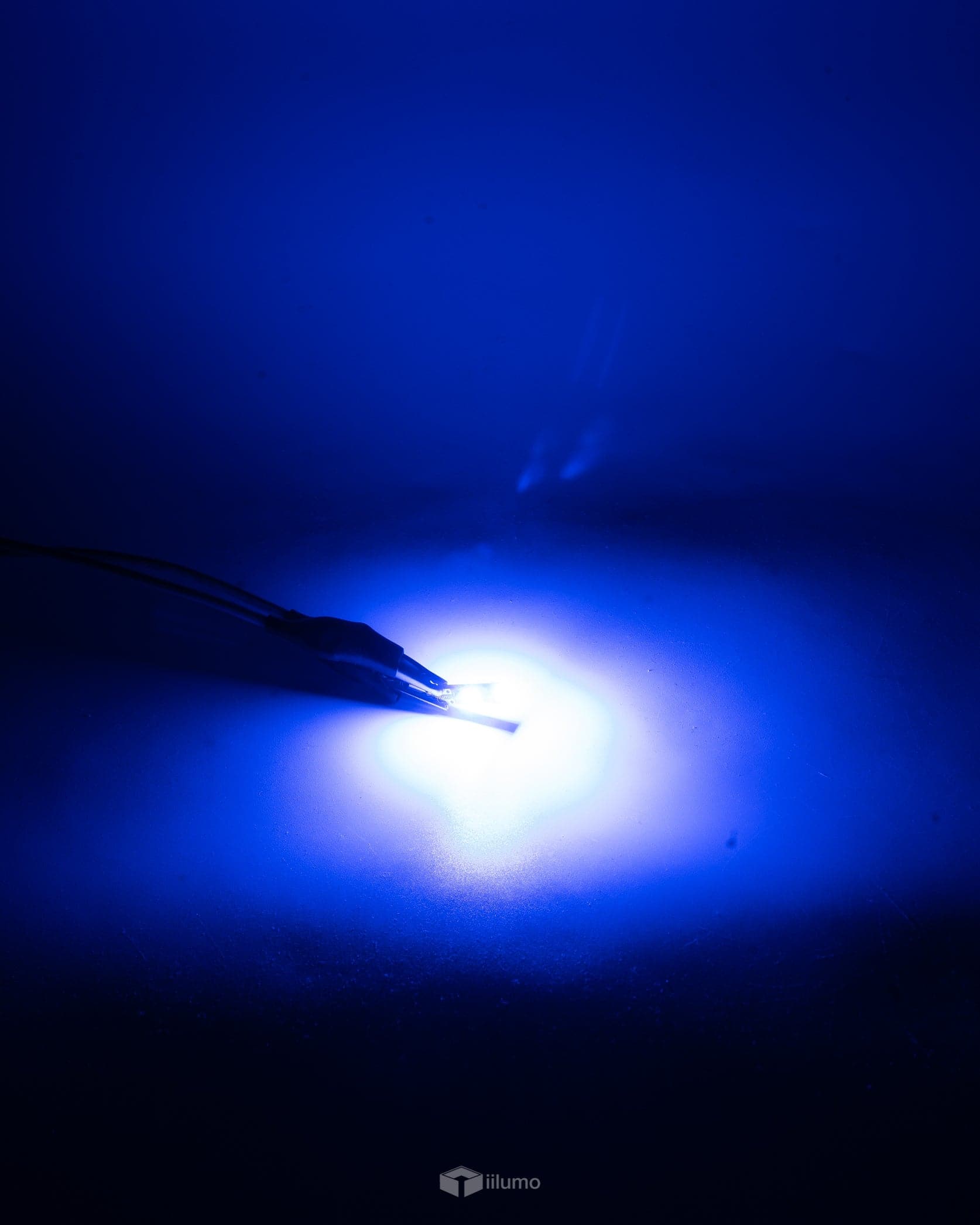 T10 LED : BLUE (CANBUS)